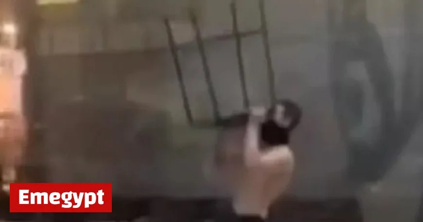 Man Jailed After Going on Rampage at Dublin Airport for Missing Flight