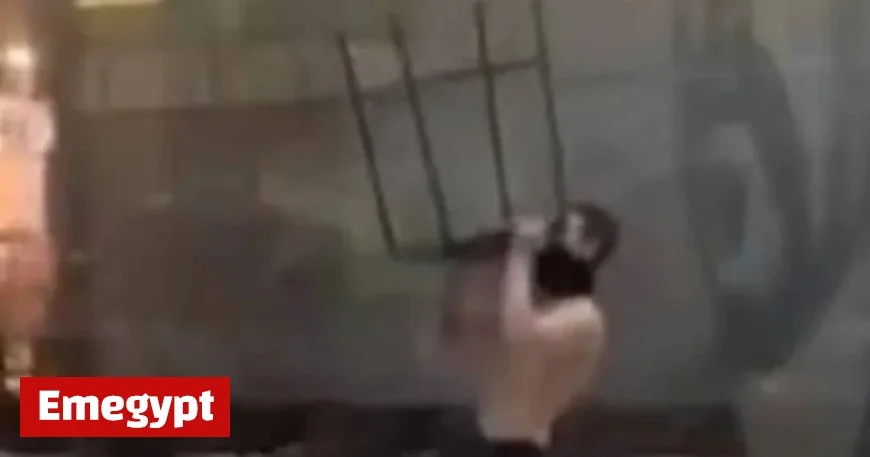 Man’s Rampage at Dublin Airport After Missing Flight Captured in Shocking Moment