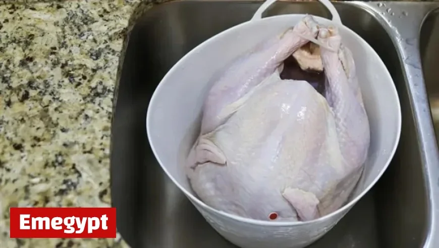 Ensure Timely Thanksgiving Dinner: Essential Guide to Thawing Your Turkey on Time