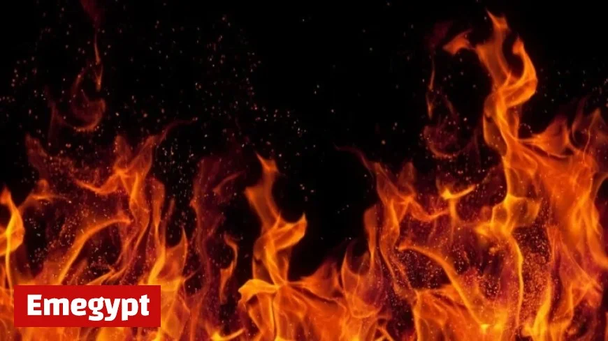 Explore This Promising FTSE 100 AI-Linked Stock for Your Stocks and Shares ISA Investment