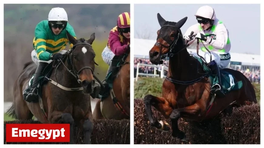 Discover the 20 Entries for the Ladbrokes King George VI Chase at Kempton This Boxing Day