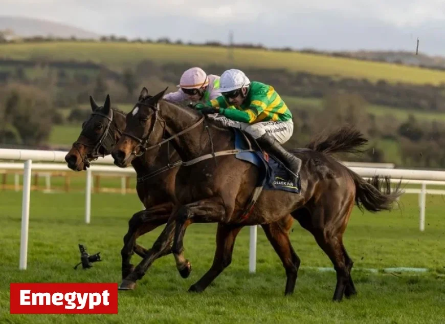 Gaelic Warrior and Fact To File Prepare for Epic Rematch as Punchestown Stars Enter King George Stakes