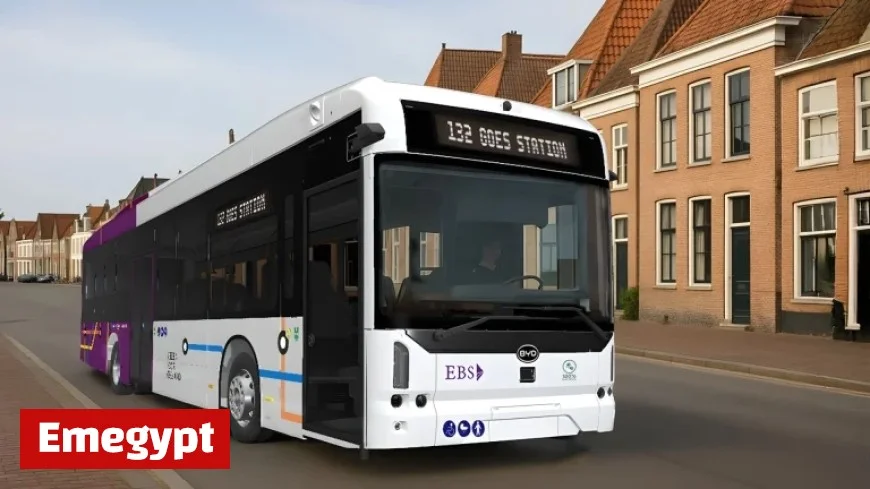 Join the Green Revolution: 73 New BYD Zero-Emission Buses Enhance EBS Dutch Fleet