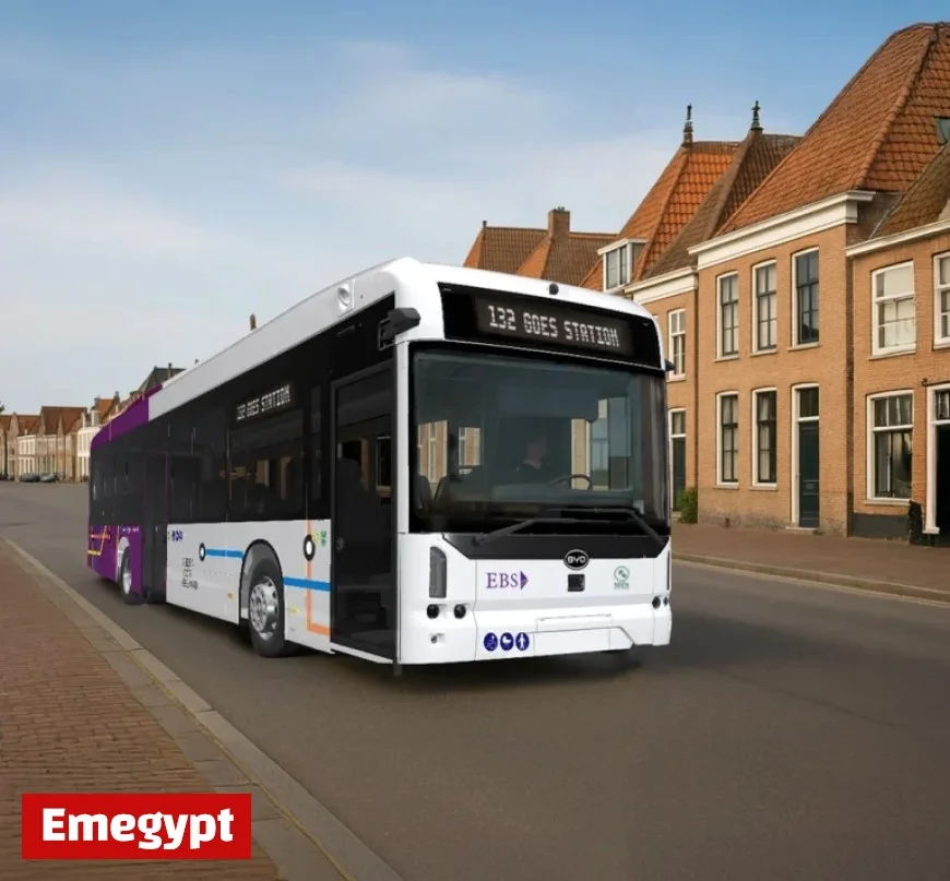 Netherlands: EBS Expands Eco-Friendly Fleet with 73 New BYD Electric Buses in Zeeland