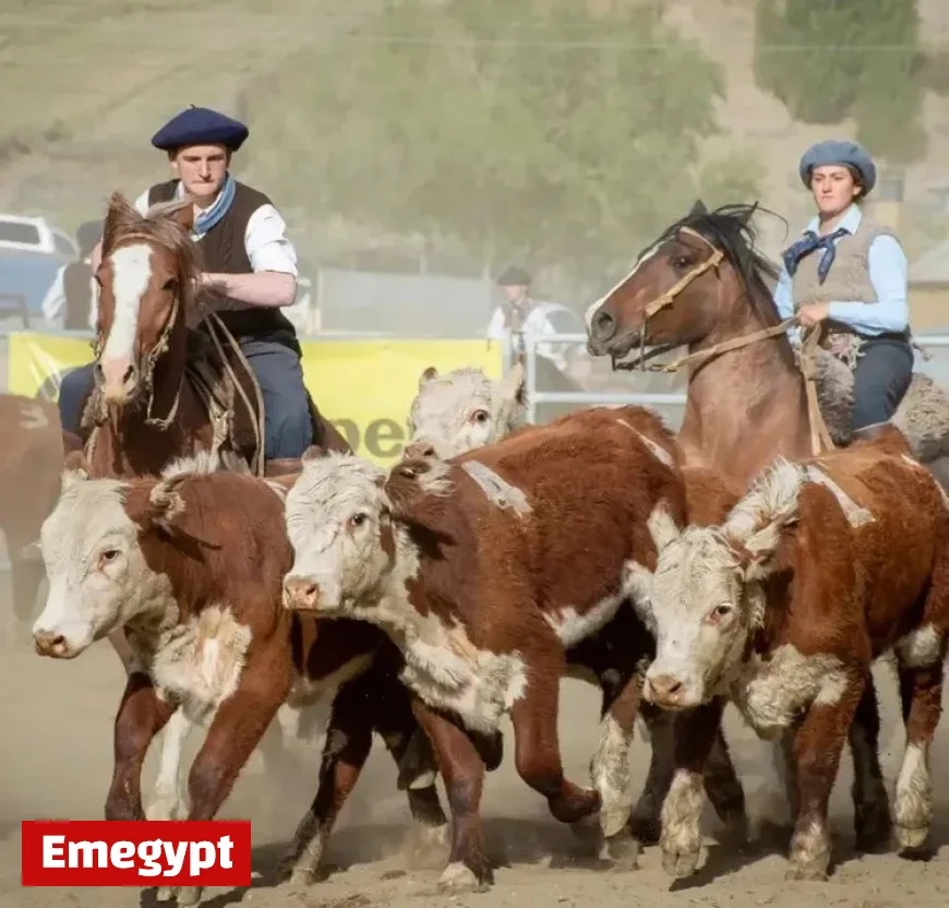 Record Participation in El Calafate as 27 Teams Compete in Upcoming Aparte Campero Event