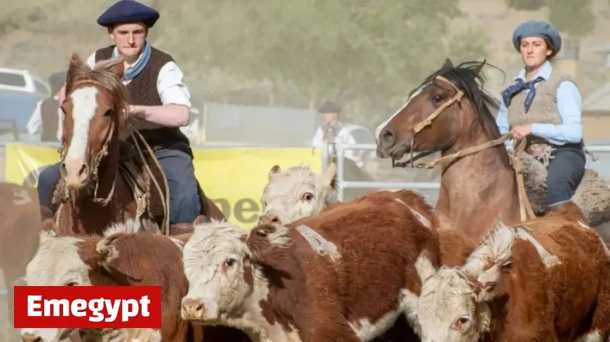 Record Number of Participants to Compete at Aparte Campero in El Calafate