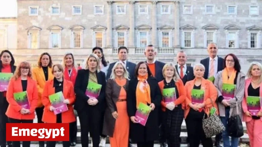 Ireland Expands Social Welfare Benefits: New Groups Qualify for Enhanced €312 Payment