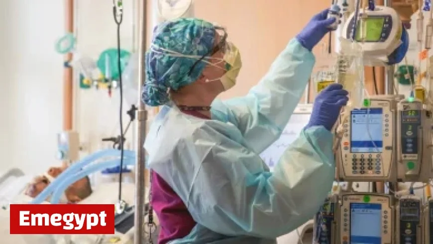 BIS Alerts on Hedge Fund Leverage Risks in Government Bond Markets