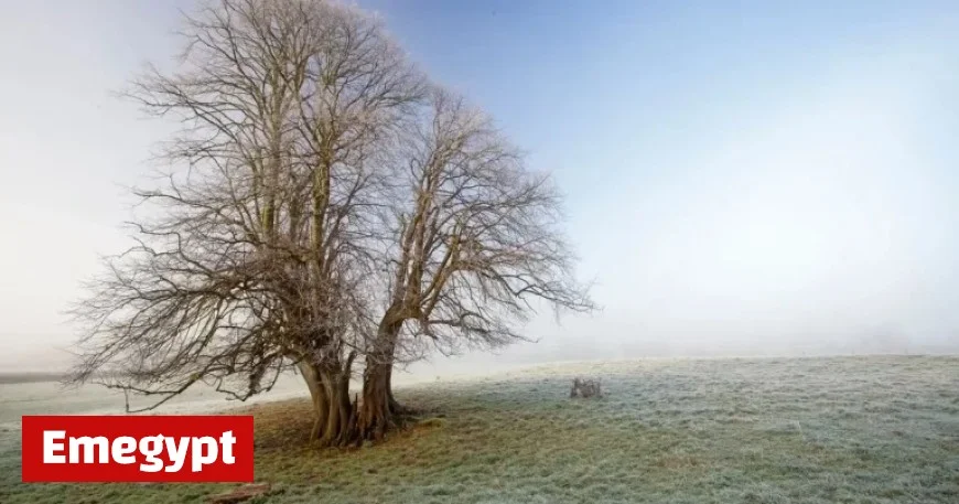 Met Éireann reveals expected date for freezing temperatures following wet and mild spell