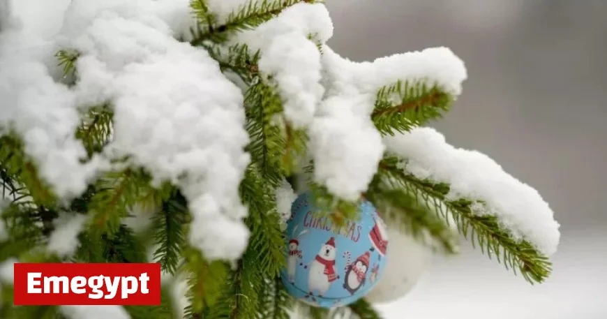Experts predict chances of a white Christmas this year