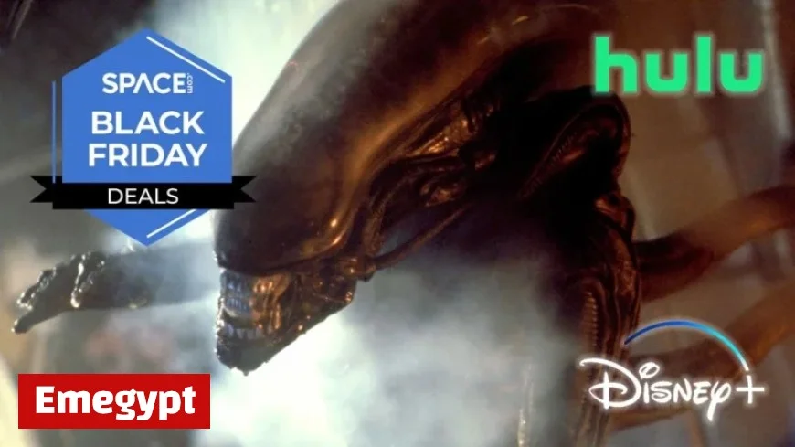 Discover a Massive 62 Percent Black Friday Discount on My Favorite Streaming Service