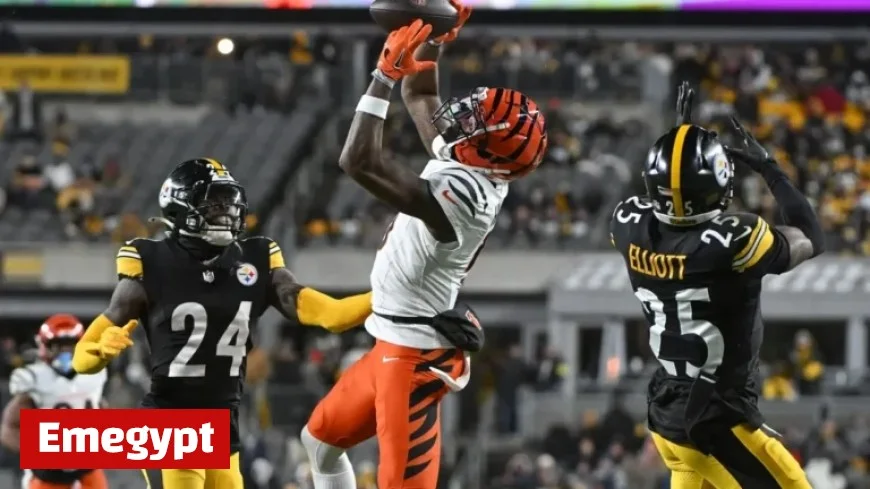 Tee Higgins Thanksgiving Game Status Revealed