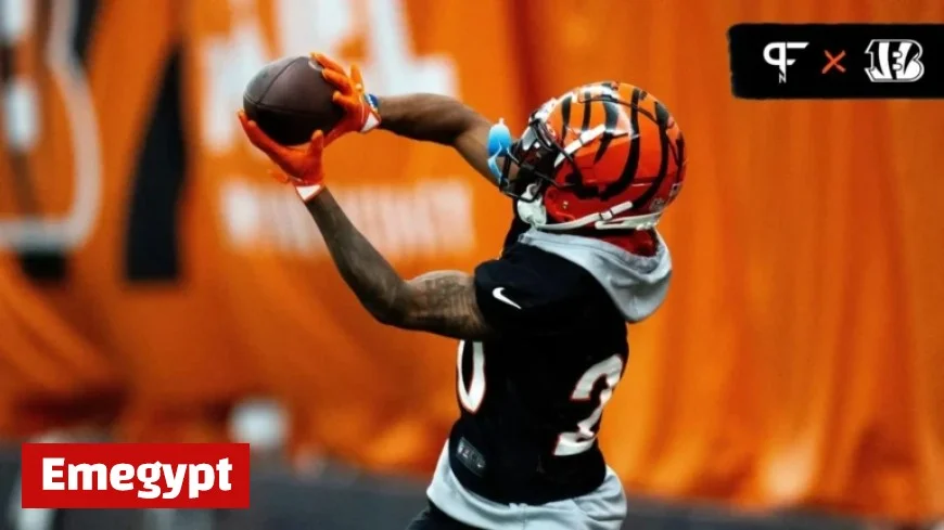 DJ Turner Demonstrates All-Pro Worthiness with Stellar Performances