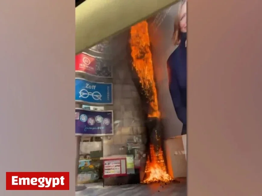 Causeway Bay Blaze Ignites Artificial Grass Wall