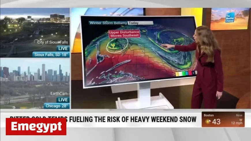 Discover the Chilliest Spots for Black Friday Shopping