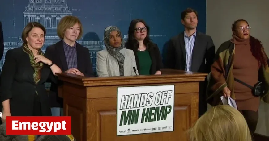 Minnesota Leaders Klobuchar, Smith, Omar Challenge Federal Hemp Ban