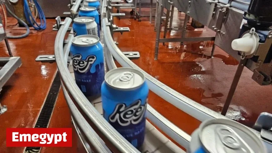 THC-Infused Drinks and Snacks Market Faces Federal Ban Threat