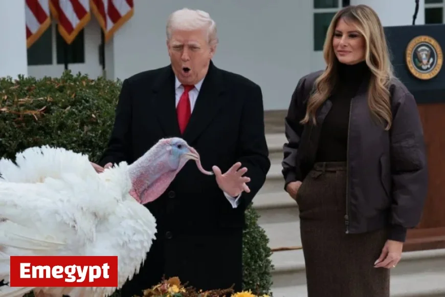 Trump Pardons Thanksgiving Turkeys Gobble and Waddle