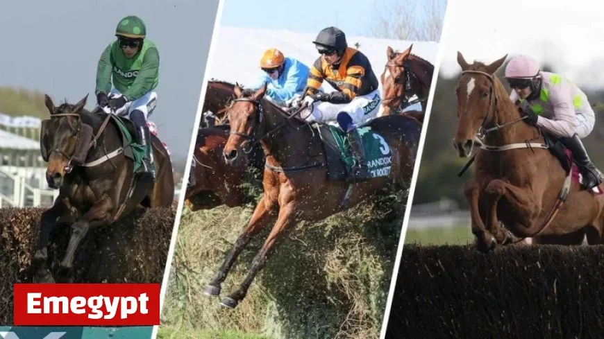 Unmissable Highlights: Fighting Fifth and Coral Gold Cup Shine Saturday Plus a Must-See Beginner’s Chase with Rich History