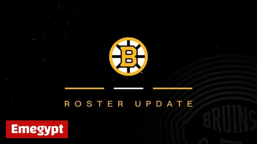 Bruins Reveal Exciting Roster Changes and Key Transactions
