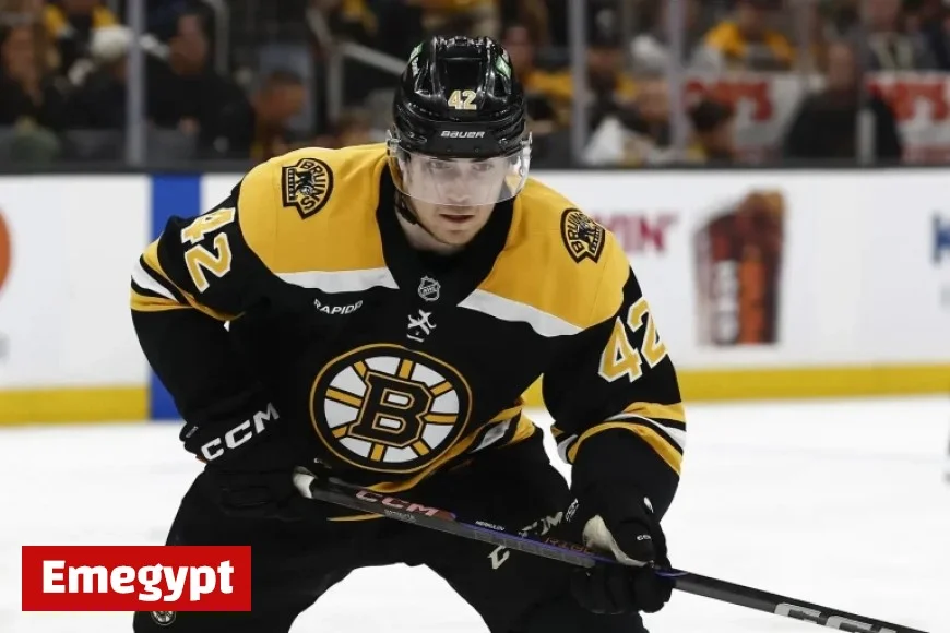 Bruins Roster Update: Pastrnak and Zacha Absent for Showdown with New York Rangers