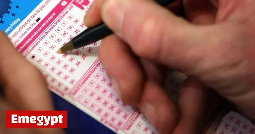 EuroMillions Results: French Player Hits Jackpot as Over 60,000 Irish Winners Celebrate Prizes