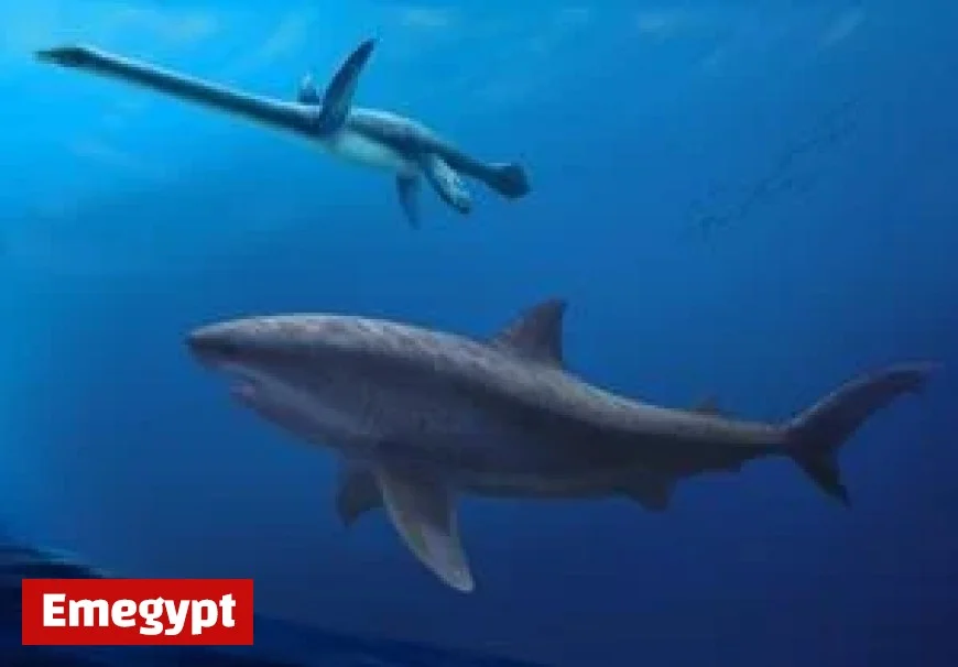 Ancient Mega-Predator Shark Roamed Australian Waters During Dinosaur Era