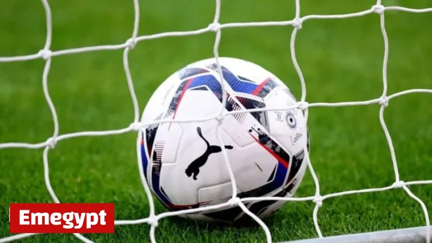 Leicester City vs Sheffield United: Championship Stats and Head-to-Head Analysis