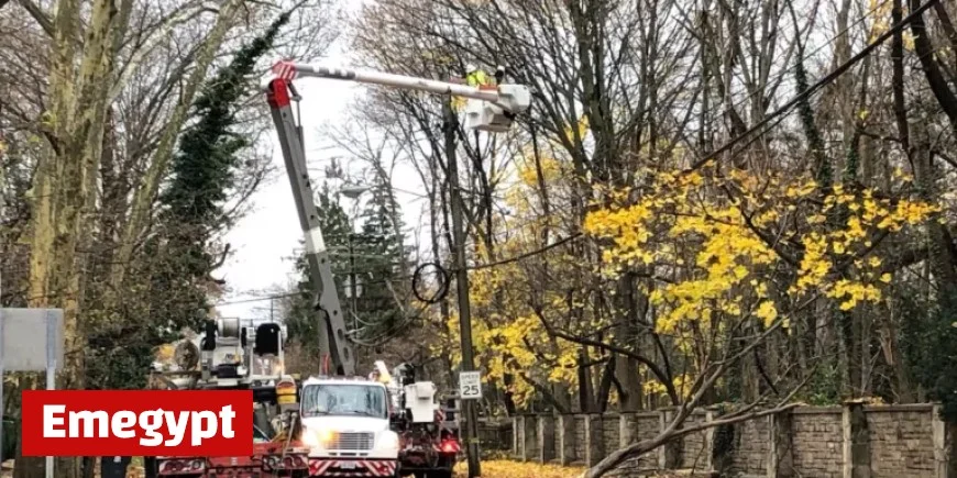 Cleveland Heights Power Outages Triggered by High Winds