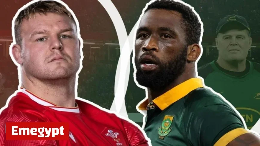 Wales vs South Africa Springboks Captain Siya Kolisi Expresses Frustration Over Negative Fixture Reactions