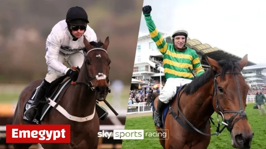 Constitution Hill vs The New Lion: Epic Showdown Today on Sky Sports Racing at Newcastle