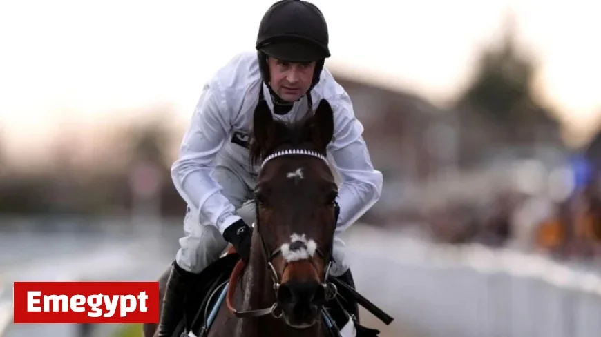 Golden Ace Triumphs in Fighting Fifth Hurdle as Constitution Hill Stumbles Again