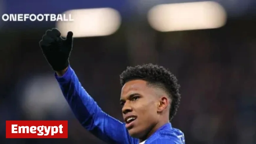 Discover Why the Libertadores Final Between Palmeiras and Flamengo Was Delayed