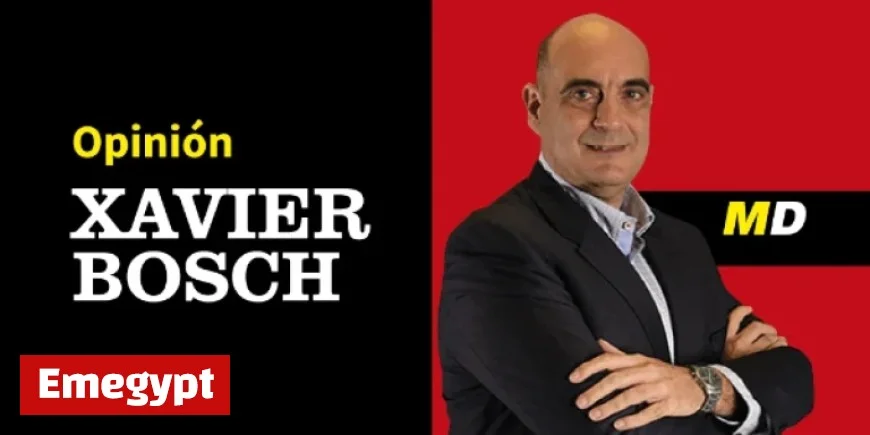 What Happens If We Win the Champions League Final Against Chelsea