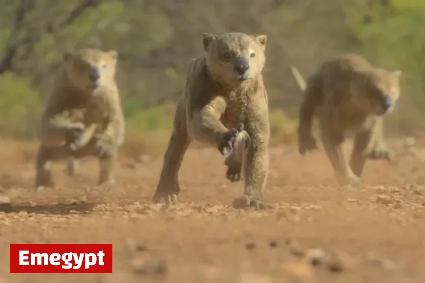 Discover the Fascinating Extinct Animals of Prehistoric Planet Ice Age A Must-Watch Experience