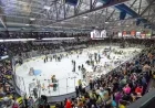 Sarnia Sting Ends Losing Streak with Exciting Teddy Bear Toss Victory