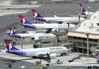 Hawaiian Airlines Launches Black Friday Sale on Japan-Hawaii Flights