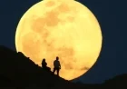 December’s Full Supermoon: Witness the Cold Moon Lighting Up the Longest Night of 2025