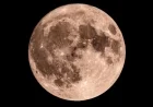 November 30: Discover Today’s Moon Phase and Appearance