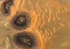 Paleozoic Black Mesas Create Rare Sahara Sand Dunes from Space