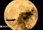 Discover the Last Supermoon of 2025: When and Where to See December’s Spectacular Cold Moon