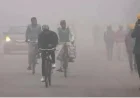 Will Delhi Shiver Tomorrow? IMD Forecasts Misty and Hazy Morning – Find Out the Details