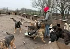 Volunteer Day Spotlight: Olga Saves Animal Lives in Ukraine