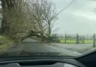 Storm Bram Hits Wexford: Power Outages, Fallen Trees, and Bridge Closures Affect Thousands