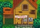 Stardew Valley Creator Teases Exciting Switch 2 Announcement Coming Soon After Long Wait