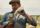 Hugh Jackman’s Talking Sheep Unravel Mystery in ‘The Sheep Detectives’ Trailer