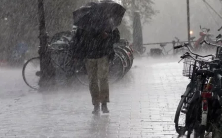 Sunny Skies Expected Tomorrow Before Patchy Rain Returns