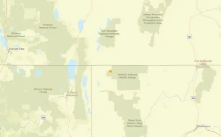 Earthquake Strikes Near Fort Bidwell, CA: 2.8 Magnitude Detected Nov. 29