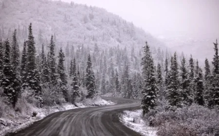 Winter Storm Alert: Up to 12 Inches of Snow Expected