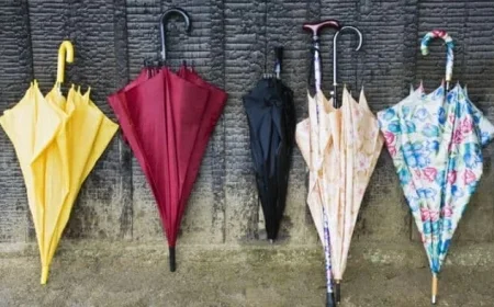 Mississippi Weather Forecast for Monday, December 1